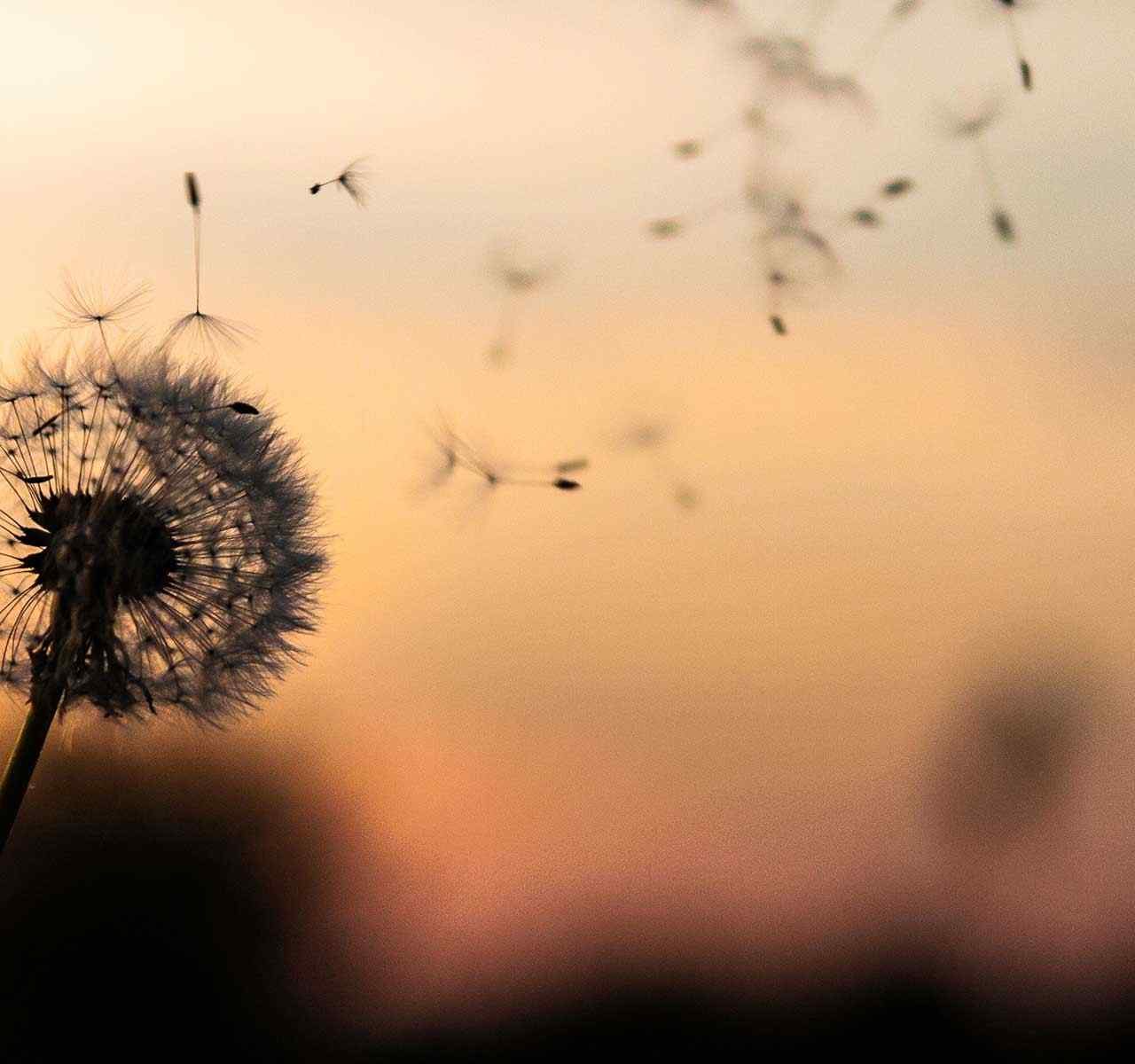 https://cabinet-tchamo.com/wp-content/uploads/2018/09/post_02-1280x1200.jpg